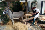 Mittelalterfest 2008 - www.mittelalterfeste.com - Photo von: siehe unten